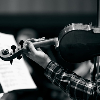 A person holding a violin