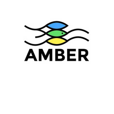AMBER Logo
